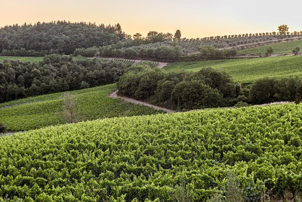 Agriturismo Casa Al Bosco Villa คาสเตลลินาอินเคียนติ ภายนอก รูปภาพ