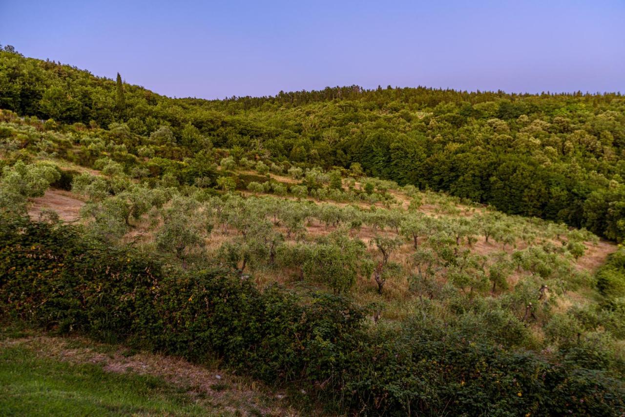 Agriturismo Casa Al Bosco Villa คาสเตลลินาอินเคียนติ ภายนอก รูปภาพ